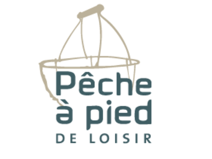Observatoire de le pêche à pied de loisir